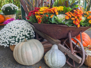 Outdoor Fall Decorating Ideas